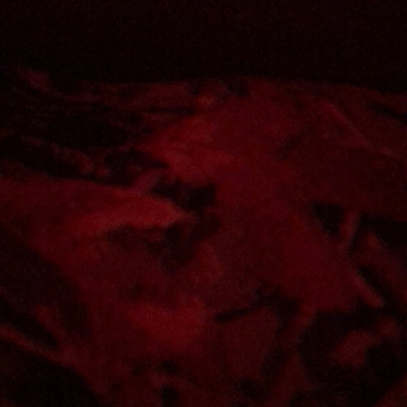 Meet your Posher, Nate - Picture 1 of 1